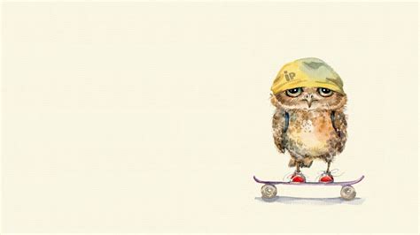 2048x1152 Owl On Skateboard 2048x1152 Resolution Hd 4k Wallpapers
