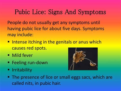 Ppt Pubiccrabs Lice And Trichomoniasis Powerpoint Presentation Free