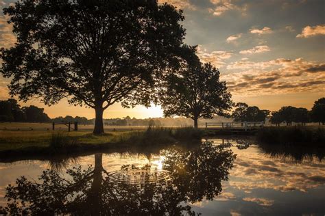 Simon Wilkes Richmond Park Landscape Photography Summer Reflections