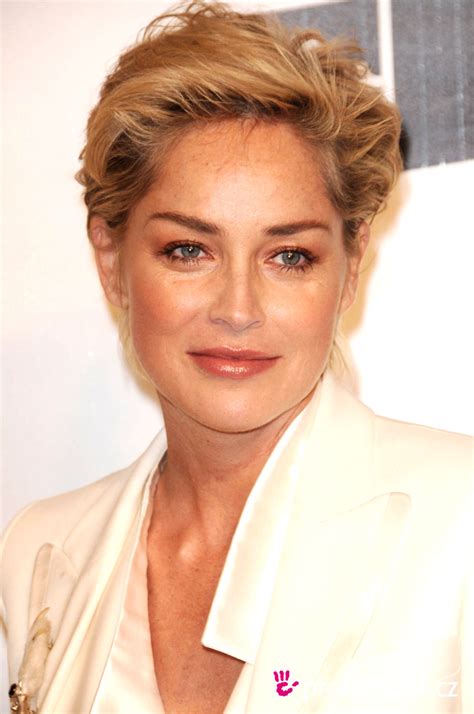 Sharon Stone Hairstyle Easyhairstyler