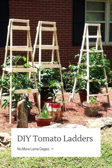 Diy Tomato Ladders Tomato Ladders Are A Great Alternative To Tomato