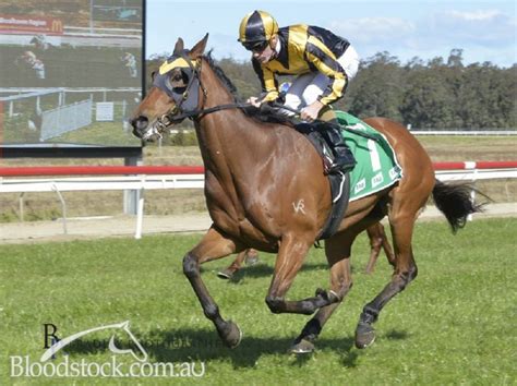 Bloodstock Listing Sold In Form Sydney Metro Trained Talented
