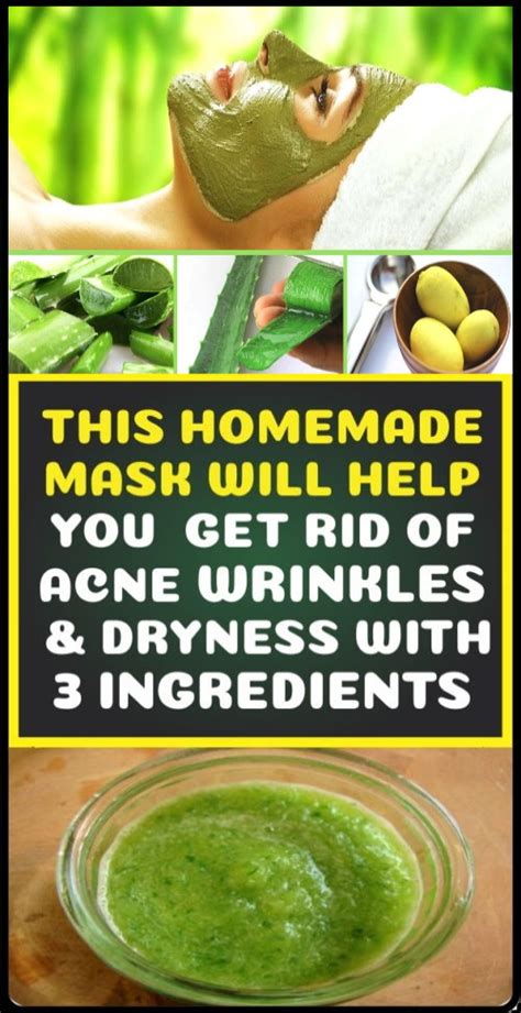Homemade Aloe Vera Face Mask Wellness Magazine