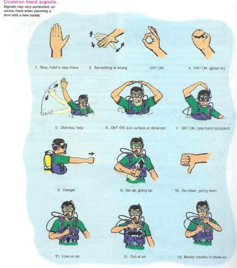 The most common hand signs signals material is metal. Scuba Diving Hand Signals PADI and Underwater Gestures ...