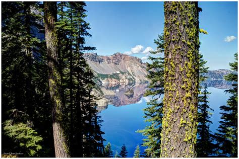 Trees At Crater Lake The Blue Eyes Of The Earth Crater La Flickr