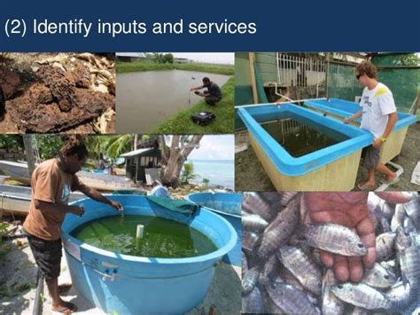Developing Inland Aquaculture In Solomon Islands