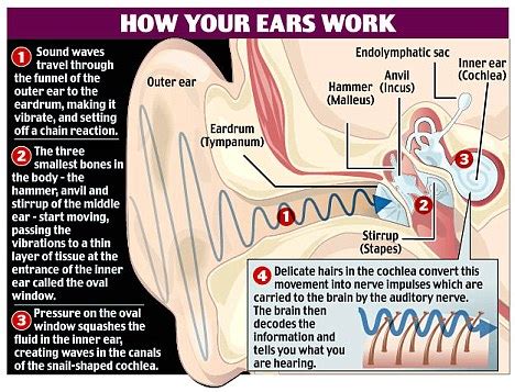 Maybe you would like to learn more about one of these? Hearing Loss: The Most Important Thing You Don't Care About