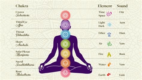 An A3 Poster That Details The 7 Chakras Of The Body W