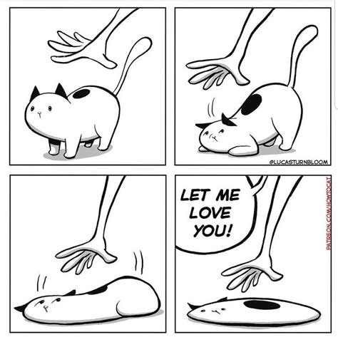 Pin By Sandy Ayres On How To Cat How To Cat Cat Comics Cats