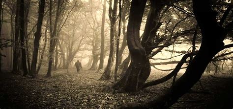 20 Haunted Woods That Will Give You Goosebumps Pagista