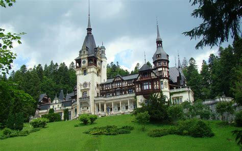 Wallpaper Trees Building Romania Hills Castle Cathedral