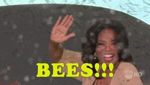 Oprahs Bees BEES Nine Reasons Gifs Are AWESOME S300x169 10 Flickr