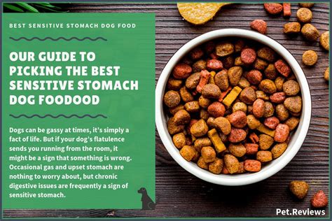 A lot of dairy products can cause havoc in a person's stomach, especially one. Best Dog Food For Sensitive Stomach & Diarrhea (Canned ...