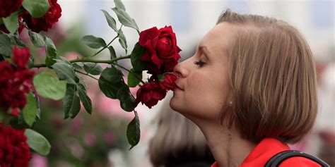 The Chemistry Of A Roses Sweet Smell Explained Huffpost