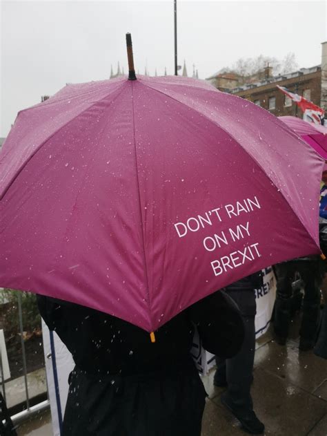 In Pictures Brexit Protesters Soaking Wet In The Westminster Rain Londonist