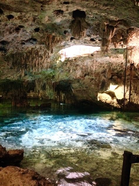 Check Out The Cenote At Aktun Chen You Can Snorkel Around This