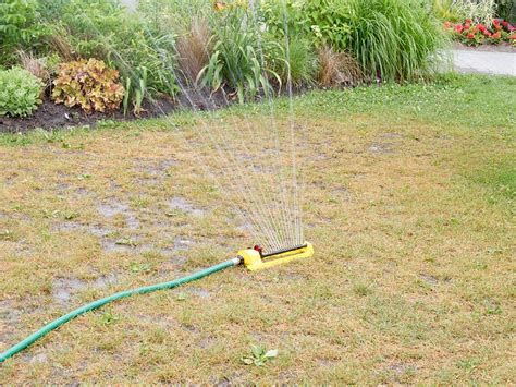 Watering Golden Lawn North City Water District