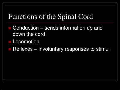 Ppt Spinal Cord Spinal Nerves And Somatic Reflexes Powerpoint