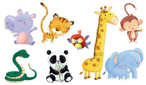 Different Animals For Babies Illustrations From Dibustock Childrens