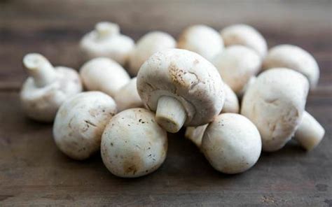 Organic White Button Mushrooms Monterey Mushrooms Sf Bay Good Eggs