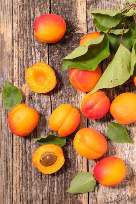 Fresh Apricot Stock Image Image Of Fruit Juicy Healthy 72571035