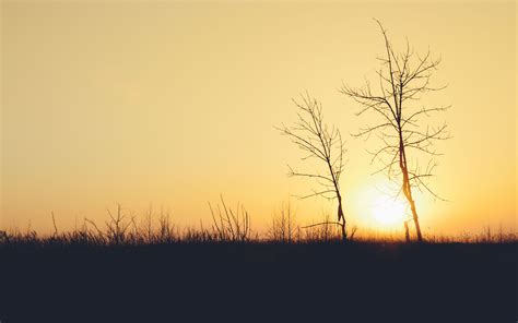 Download Wallpaper 3840x2400 Sunset Trees Branches Silhouettes Sun