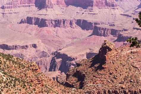 South Rim Grand Canyon 15 Photograph By Renny Spencer Fine Art America