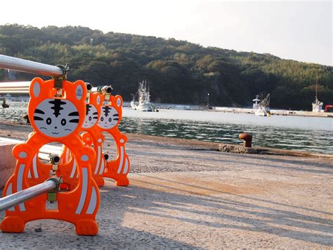 Cat Island Tashirojima Miyagi Prefecture Japan Life To Reset