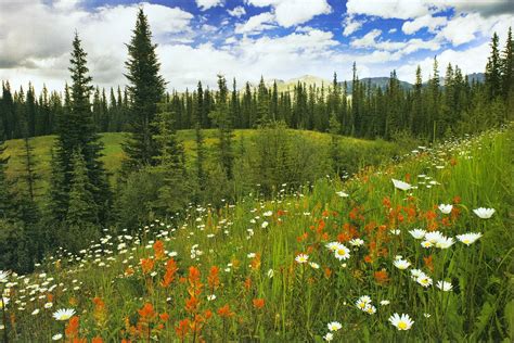 Enjoy The Natural Beauty Of Alberta Canada ~ Travell And Culture