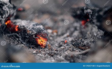 Burning Hot Red Coals Among Black Ash Texture Of Bonfire Abstract