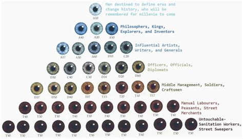 So Were Having Eye Colour Hierarchies As Well Now R