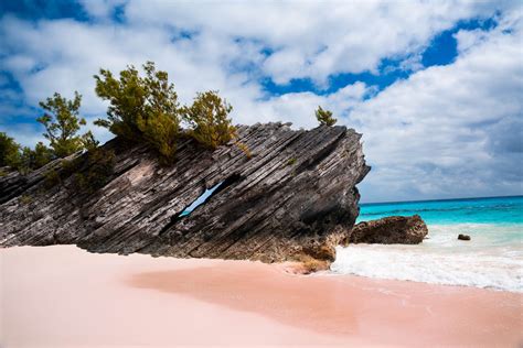 Best Beaches In Bermuda Bermuda Pink Sand Beaches Bobo And