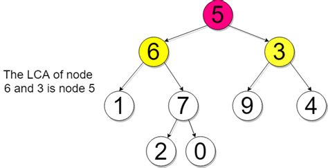 Lowest Common Ancestor Of A Binary Tree