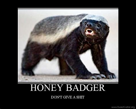 Honey Badger Dont Care Honey Badger Dont Give A Shit Haha Honey