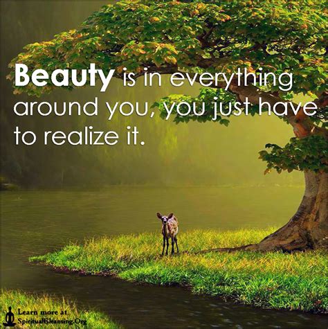 Beauty Is In Everything Around You You Just Have To Realize It