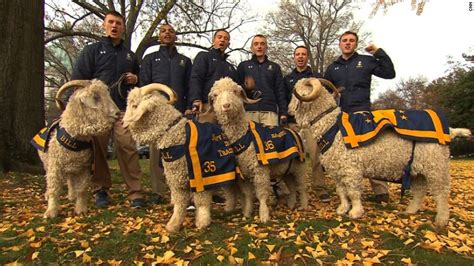 Navy Has Above Top Secret Security For Bill The Goat Cnn