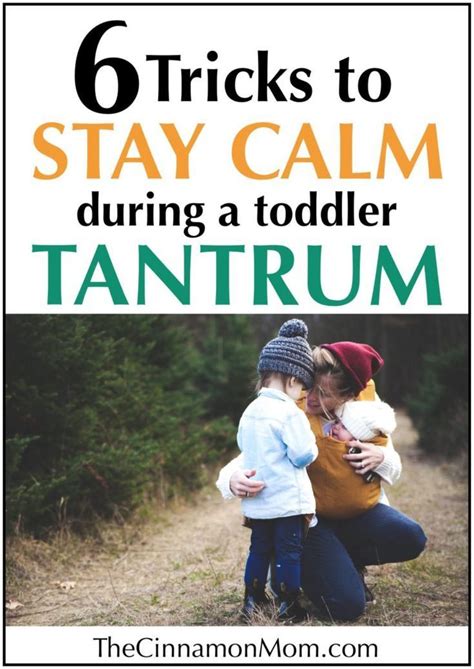 6 Tricks To Stay Calm During A Toddler Tantrum Tantrums Toddler