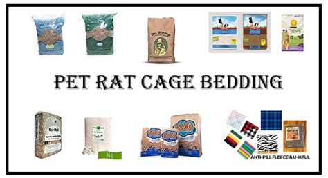Recommended Pet Rat Bedding Updated Small Furry Pets