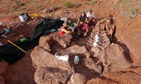Scientists Claim Finding Fossils Of Largest Dinosaur World Dawncom