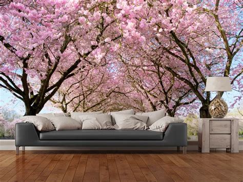 Cherry Blossom Trees Wall Mural Room Setting Tree Wall Murals Wall