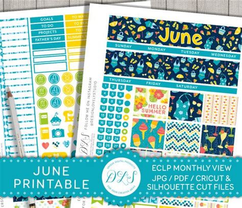June Planner Stickers Erin Condren June Stickers Eclp June Monthly