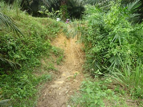 Home ›› mtb bicycle ›› malaysia mtb bicycle. Malaysian Gold Jamboree 2011: Trek 'Malaysian Gold ...