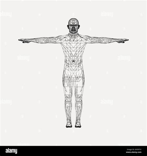Human Anatomy Clipart Vector Stock Vector Image And Art Alamy