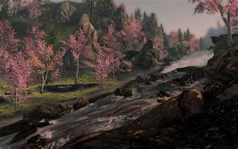 Cherry Blossom At Skyrim Nexus Mods And Community