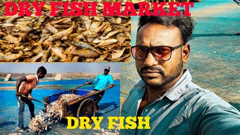 Dry Fish Market Dry Fish Wholesale Dry Fish Market হল সেল শুটকি