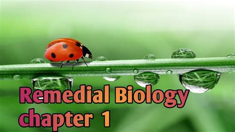 Remedial Biology Chapter 1 Youtube