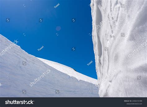 174 Snow Otani Images Stock Photos And Vectors Shutterstock
