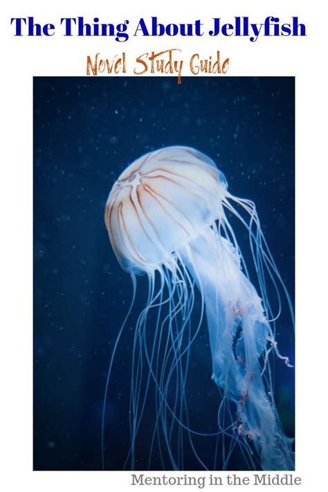 The Thing About Jellyfish Novel Study Guide With Images Novel