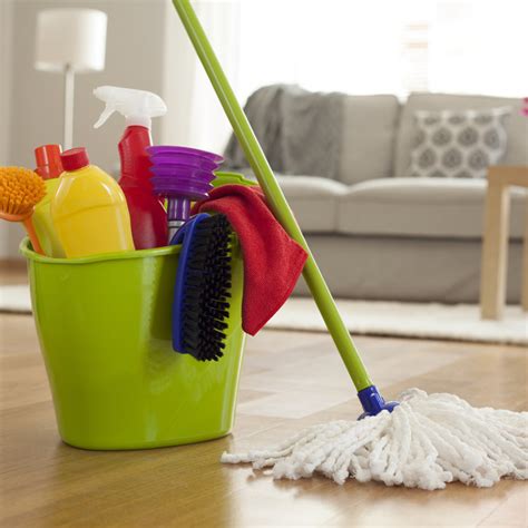 Essential House Cleaning Materials And Products Cleanipedia Za