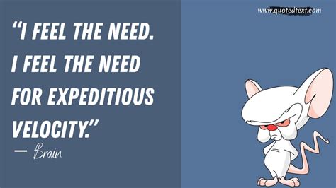 Viewers loved how these characters had some purpose in their lives, and to fulfil it, they always used their full potential. 25+ Best Pinky and the Brain Quotes - QuotedText